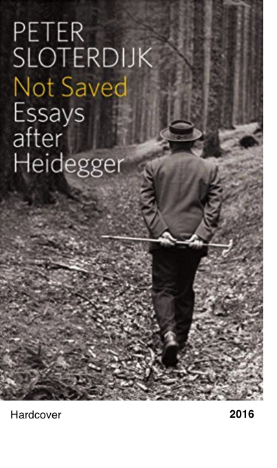 Not Saved: Essays After Heidegger - Peter Sloterdijk